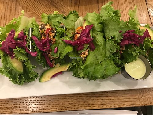 Toona Wraps with green leaf wrapper. Yummy!! at Cafe Mosaics in Edmonton