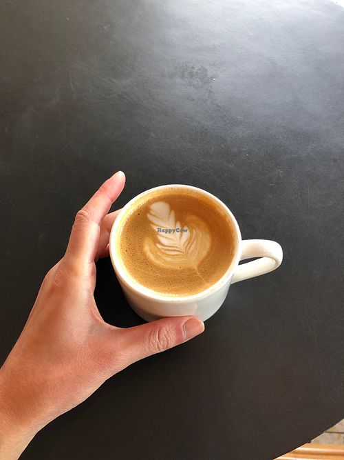  at PACT Coffee in Edmonton