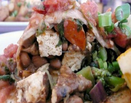 vegan fiesta burrito: a blend of seasoned vegetables, tofu, house chili wrapped in a wheat tortilla topped with salsa and green onions. at Paradox Cafe in Portland