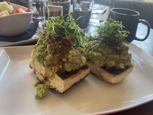 Avocado toastt  at 192 At The Blake in Taos Ski Valley