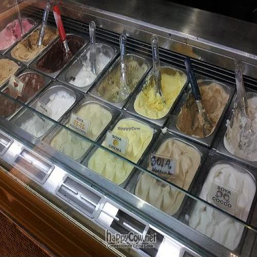 Vegan/ Soy options are the best! at Gelateria Della Palma in Rome