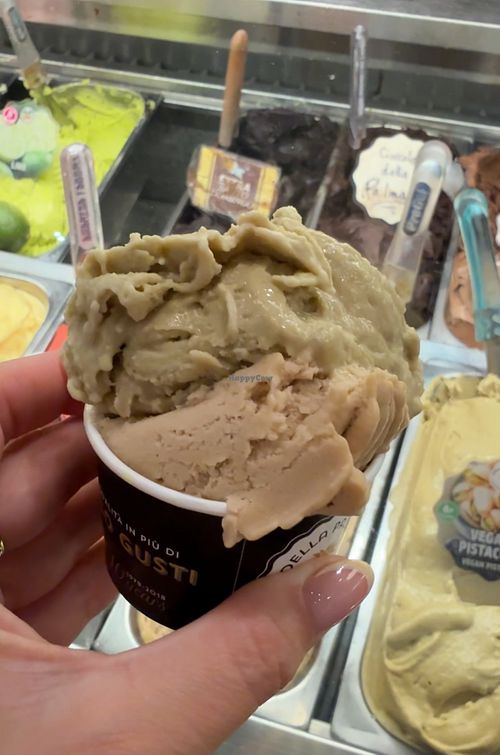   at Gelateria Della Palma in Rome