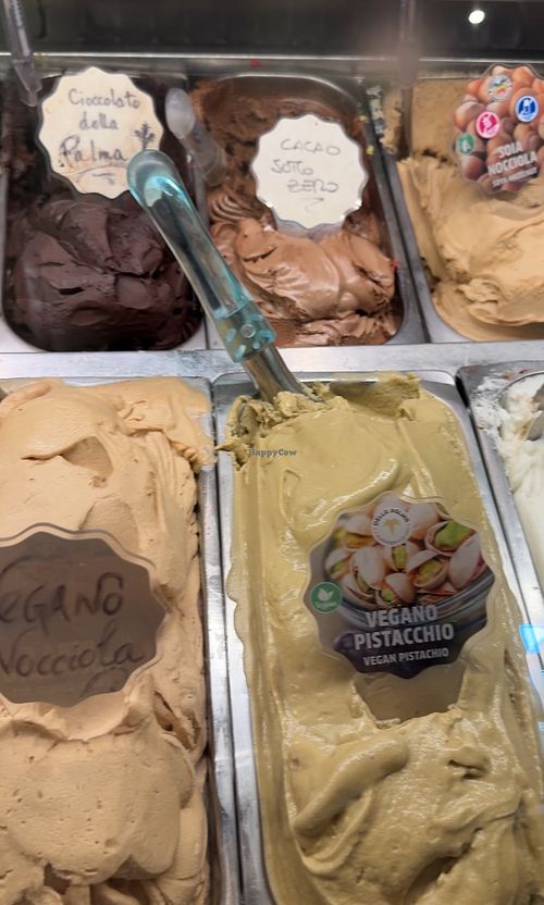   at Gelateria Della Palma in Rome