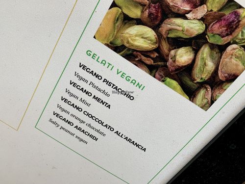 vegan flavours at Gelateria Della Palma in Rome