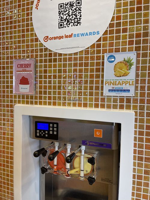 Vegan soft serve   at Orange Leaf Frozen Yogurt in Mason City