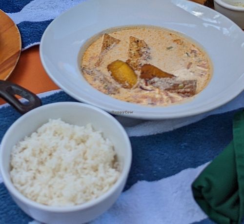 Ginger coconut tofu and plantain stew!!! 🤤 Sorry terrible pic at Grove House in Belmopan