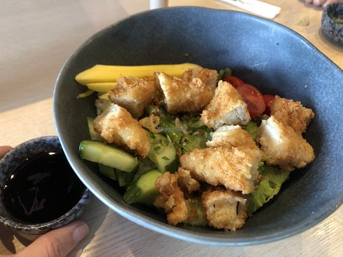 Poke bowl with breaded tofu, avocado, cherry tomatoes, mango, cucumber, salad and sushi rice.   at Baba Sushi - Lilleengvein in Moss