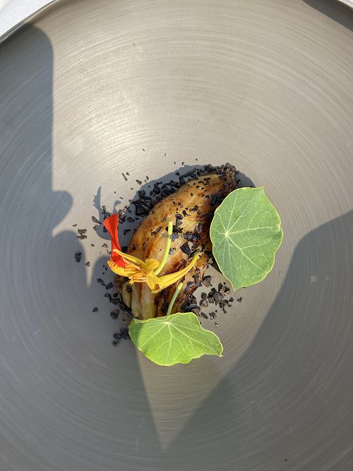 Cabbage stuffed with celeriac cream and black truffle at Vetri Restaurant in Venice