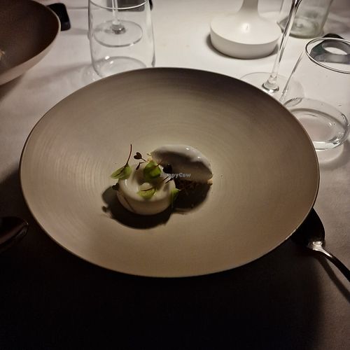  at Vetri Restaurant in Venice