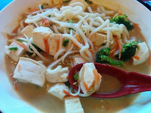 tofu curry at Jenni's Noodle House - S Shepherd in Houston