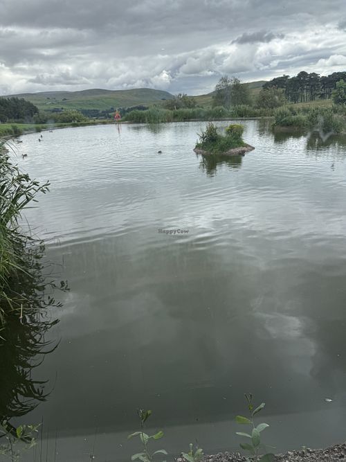View   at Tebay Services Southbound in Orton