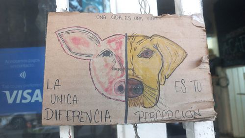  at V De Vegano  in Mexico City