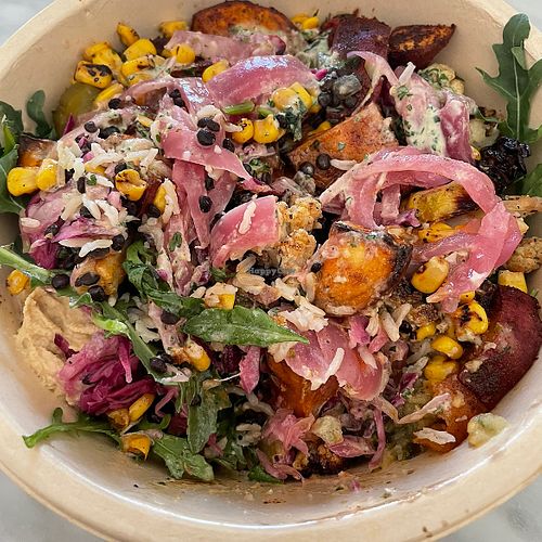 CAVA has delicious vegan options including grains, greens, roasted veggies, roasted sweet potatoes, falafel, black lentils, hummus, harissa, and much more. It’s YUM!  at CAVA in Fort Worth