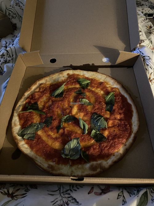 Gf Mariana   at Scott's All Day in Cambridge