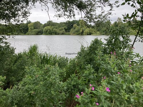   at Modern Life Café in Norwich