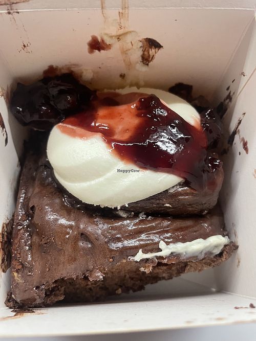 Schocki   at Cinnamood in Cologne