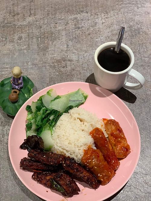 Economic rice. Photo by Henry Lau aka Mr Purple at Jing Xin Yuan Vegetarian Food - 净心园素食 in Central Singapore