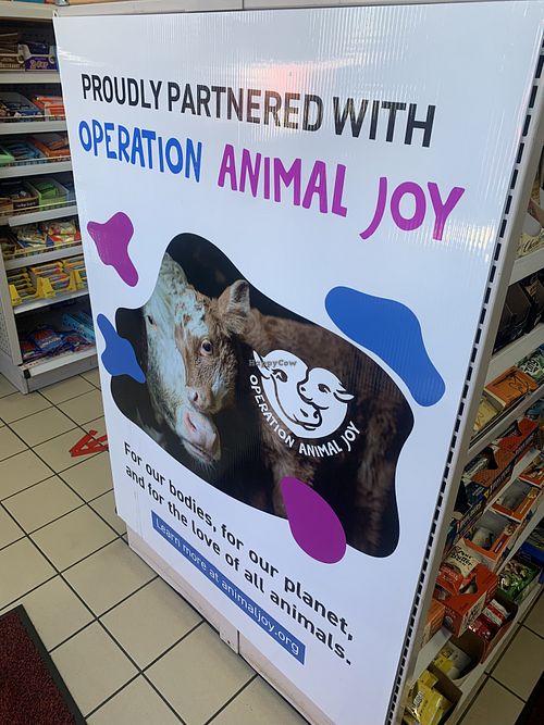 Cuteness in the store   at Hangry Planet in San Bruno