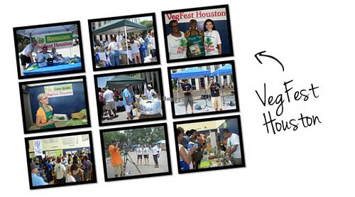 VegFest Houston collage at Vegan Society of PEACE in Houston