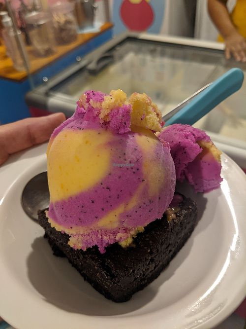 Vegan Brownie with pitaya + caja ice-cream at Kedi Artisanal Ice Cream in Maragogi