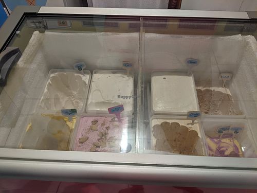 Vegan options at Kedi Artisanal Ice Cream in Maragogi