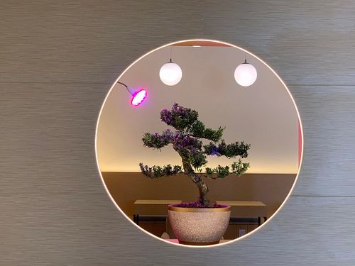 Interior decor. Photo by Henry Lau aka Mr Purple. at Zen Cafe 禅悦屋 in Central Singapore