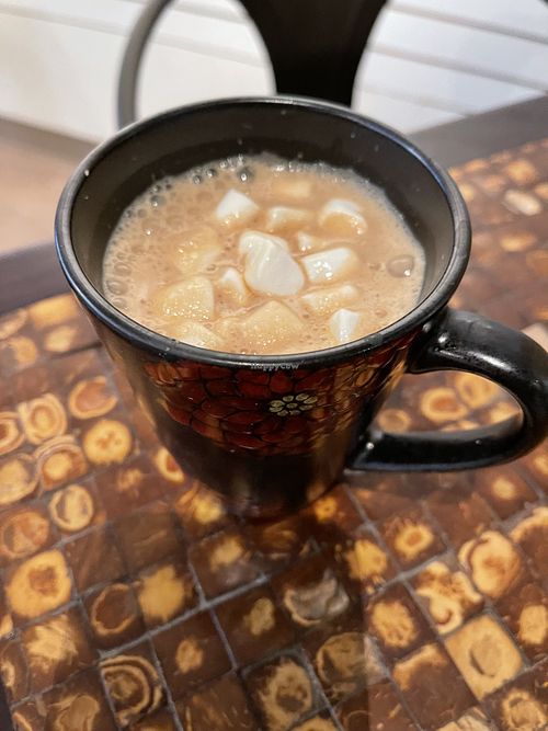 MUDWATER #Veganuary at Love n Light in St Louis