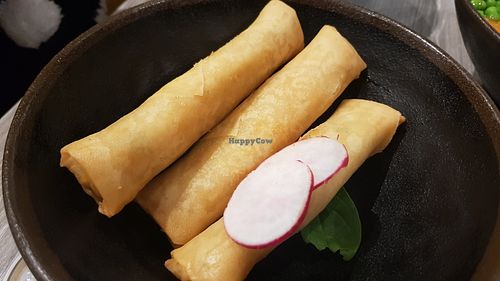 Vegetable spring rolls at Kato - City Centre in Newcastle Upon Tyne