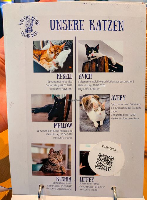 Menu page at Katers Köök at Katers Köök in Hamburg