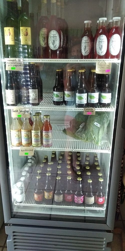 Cold kombuchas, hidromiel, ginger and curcuma ferment at Yu'gupa in Mazunte