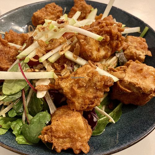 Son Tum Salad with Stuffed Tofu  at Le Feu in Berwick