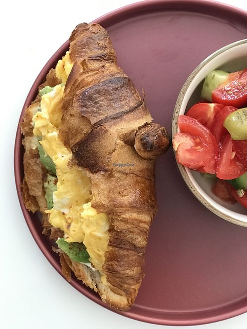 Image of The Rabbit Hole