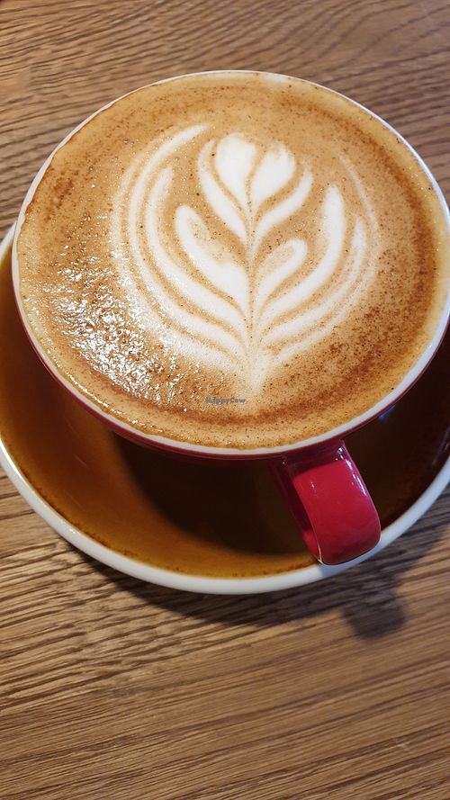 Cappuccino with oat milk at Esencia in Harstad