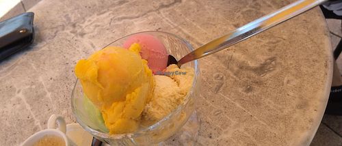 Různé druhy sorbetů at Pension Villa Else mit Biergarten und Eiscafé in Heidenau