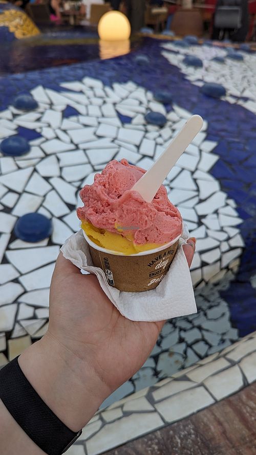 Strawberry and Mango Sorbet at Sweet Home in Tenerife