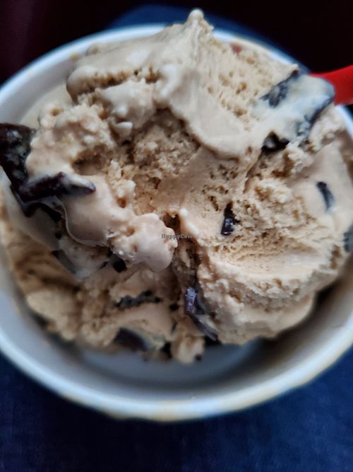Coffee chocolate chip is my favorite flavor! at Bruster's Real Ice Cream in Carlisle
