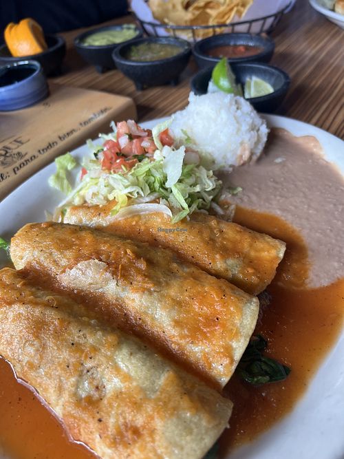 Spinach & Mushrrom enchiladas   at Palenque Cocina Y Agaveria in Littleton