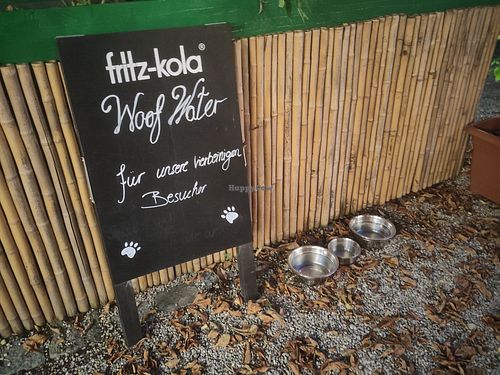 Dog bowls! at Stadtcafe in Freising