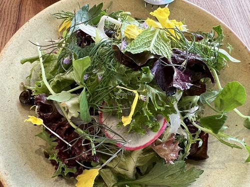 SAINTLY GREENS WITH RED WINE VINAIGRETTE  at Little Saint in Healdsburg