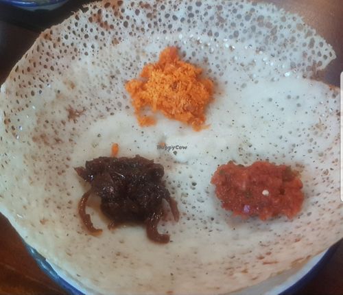 Plain Hopper at The Coconut Tree in Birmingham