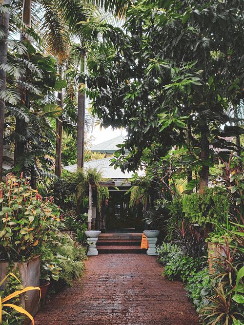  at Chanrey Tree in Siem Reap