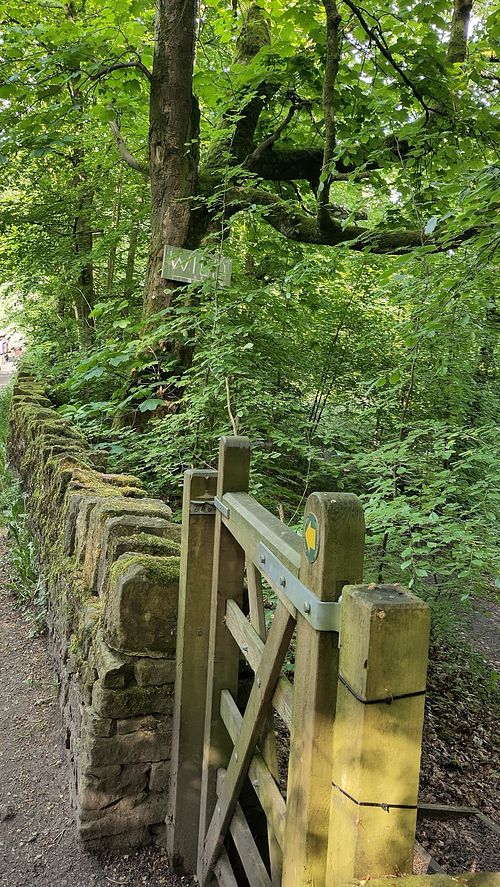 Facing East along to canal at Wild Cafe in Marsden