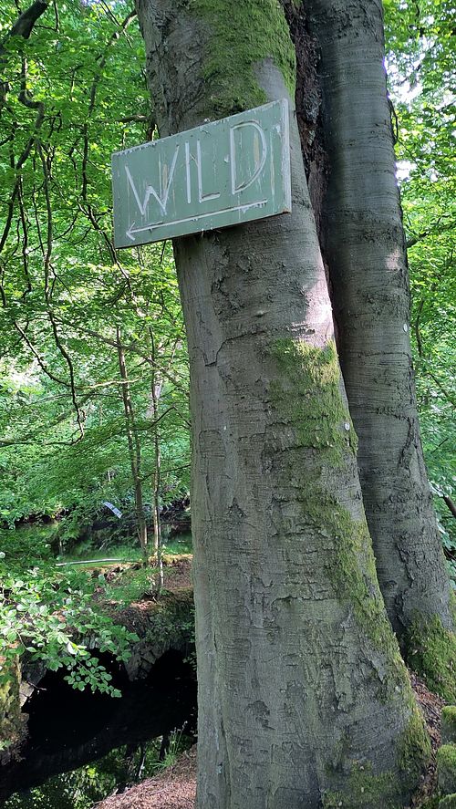 When you are facing West along the canal you'll see this one at Wild Cafe in Marsden