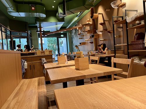 inside  at Katzentempel - Leipzig Mitte in Leipzig