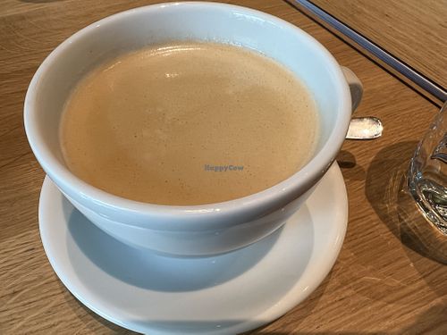 coffee  at Katzentempel - Leipzig Mitte in Leipzig