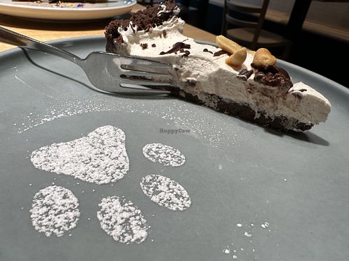 cake ("snickers")  at Katzentempel - Leipzig Mitte in Leipzig