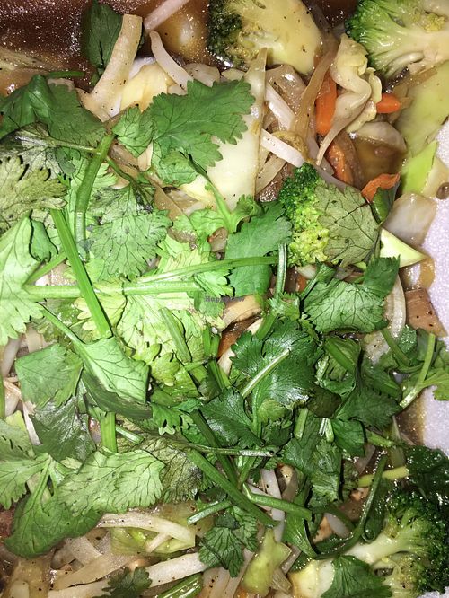 Pan-fried rice noodles at Phoenix Garden in Richmond