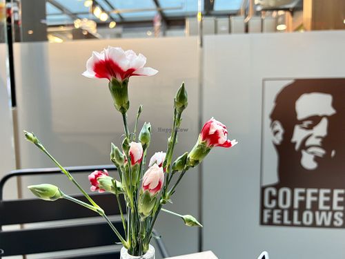 table  at Coffee Fellows in Halle