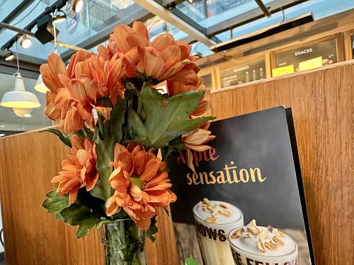 inside  at Coffee Fellows in Halle