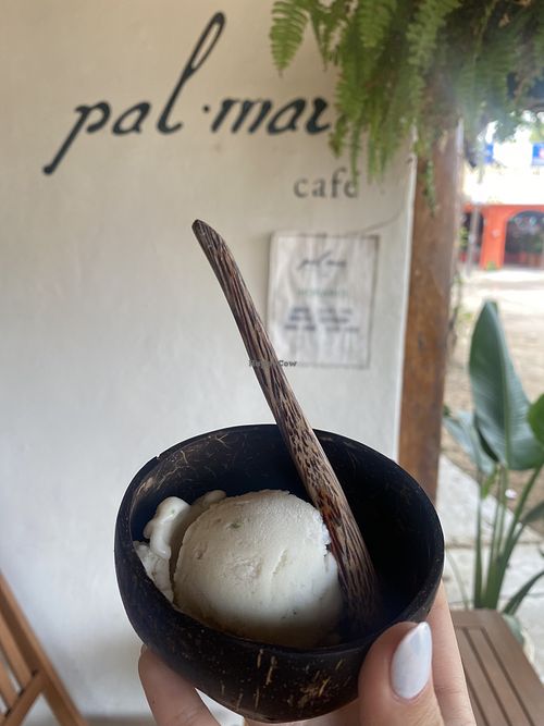   at Palmar in Chacala